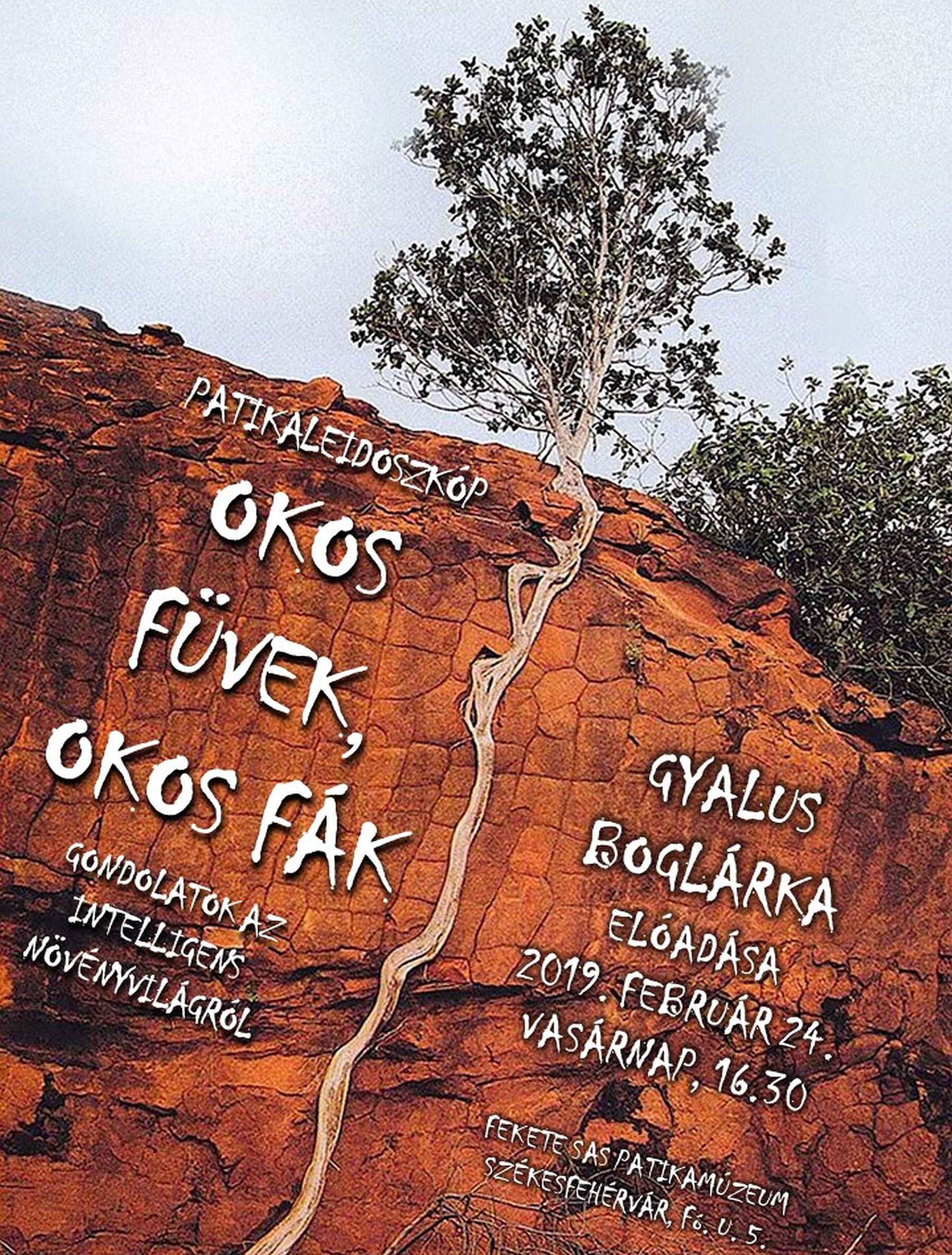 Okos füvek, okos fák - Gyalus Boglárka előadása az intelligens növényvilágról